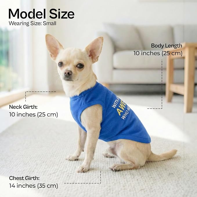 Parisian Pet Dog Tshirt - Embroidered “ Awesome “ Tank Top - Pure Cotton and Lightweight Dog Clothes - Blue Pet Vest - Sleeveless Tee Shirts for Small Dogs Boy