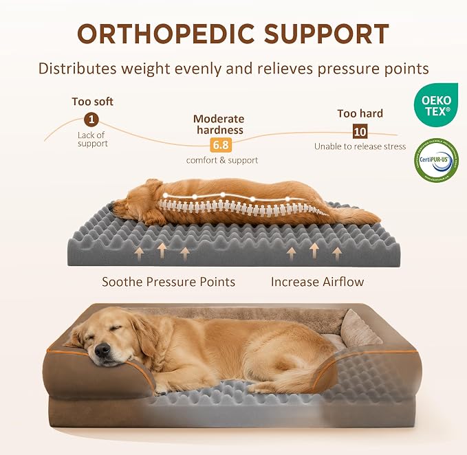 Comfort Expression Waterproof Orthopedic Dog Beds for Large Sized Dog | Supportive Egg Crate Foam Large Pet Bed with Removable Bolsters, Dog Couch with Washable Cover & Non-Slip Bottom, 38x25 Inch