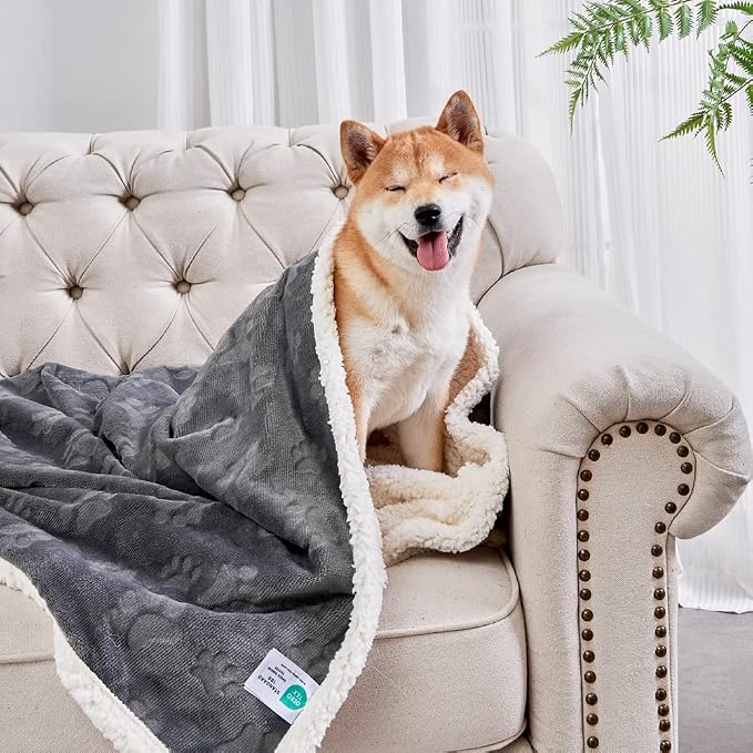 Dog Blankets for Small Dogs - Waterproof Cat Blanket Washable - Sherpa Fleece Puppy Blanket, Soft Plush Reversible Throw Protector for Bed Couch Car Sofa, 30"X40", Dark Grey