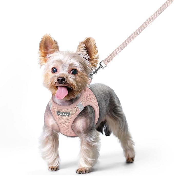 rabbitgoo Dog Harness Small Sized and Leash Set, Step-in Puppy Pet Vest | Light, Soft, Breathable Air Mesh, Easy on and Remove with Hook & Loop, Secure Reflective for Walking, Pink XS