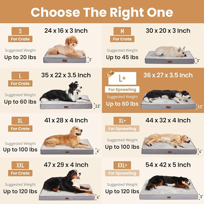 OhGeni Orthopedic Waterproof Med Large Dog Bed, Memory Foam, 36 inch(Brown) | Machine-Washable Removable Cover in Easy-Clean Fabric, Reversible Memory Foam & Easy-Carry Handle, Wider and Larger