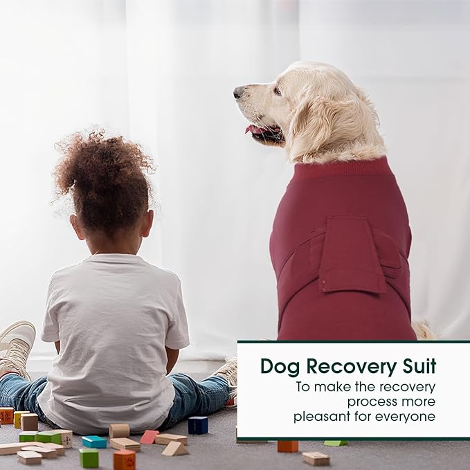 Kuoser Recovery Suit for Dogs Cats, Soft Dog Surgery Suit Female Male Spay | Professional Dog Onesie for Surgery, Substitute E-Collar & Cone, Prevent Licking Dog surgical suit Pet Neuter Suit