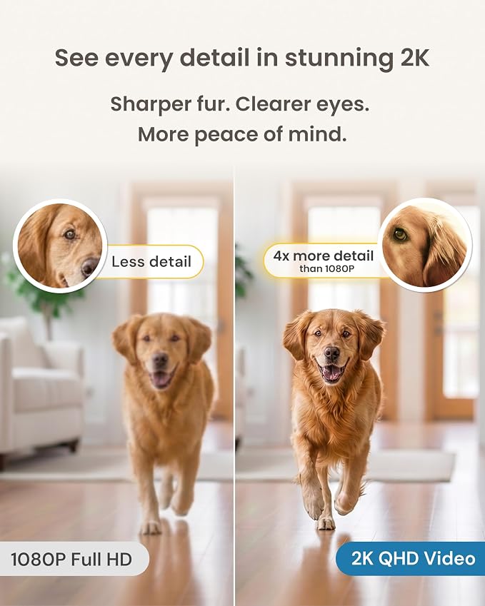 Furbo Mini 360° Pet Camera [Paid Plan Required to Activate] | Stay connected with AI Pet & Home Safety Alerts, 2K QHD View, Auto-Tracking, Video History, 2-Way Audio, Paid Plan Required