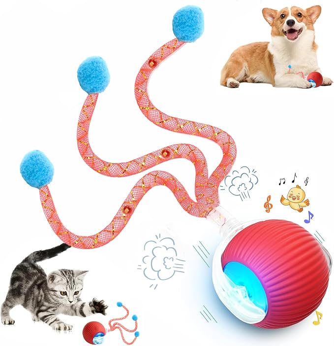 Speed 2.0 Tail Interactive Cat Toys for Indoor Cats, Moving Cat Toy | Chirping & Motion Activate Cat Toy, Smart Kitten Toys Rolling Ball Moving Ball, Electric Dog Cat Ball for Enrichment Exercise