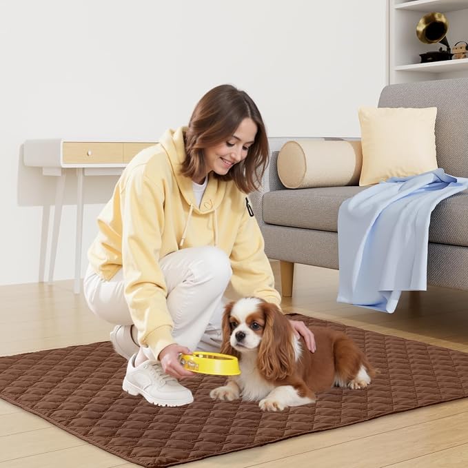 Smiry Waterproof Dog Bed Cover Blanket, Reversible Pet Blanket | Soft Reversible, Washable Leakproof Cats Dogs Couch Cover for Sofa, Couch, Furniture (52x82 Inch)