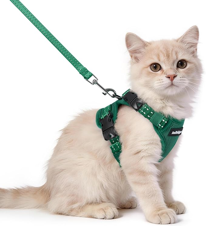 rabbitgoo Cat Harness and Leash, Easy-on with Neck Buckle, Dark Green