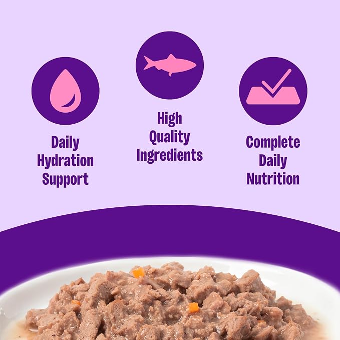 Wellness Complete Health Gravies Adult Canned Wet Cat Food, Natural, Protein Rich, Grain Free, Salmon Entrée Recipe, 3 oz, Pack of 12 Cans