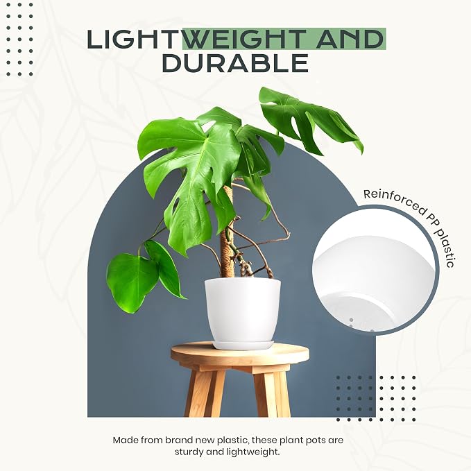 Plant Pots Indoor with Drainage, 10 Pack Multi-Size Planters Set, White | Drainage holes included Multiple sizes 7/6.6/6/5.3/4.8 In Indoor plants and flowers Durable plastic construction