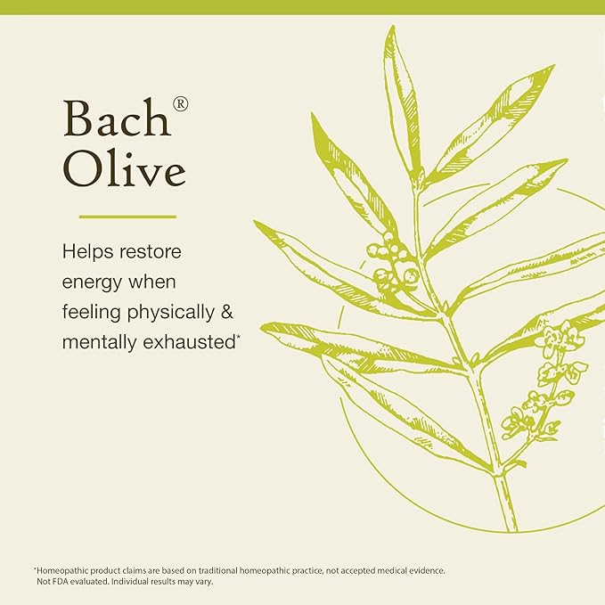 Bach Original Flower Remedies, Olive - Restore Energy - Natural Homeopathic Flower Essence for Emotional Balance - Vegan, Gluten Free, Sugar Free - 20mL Dropper