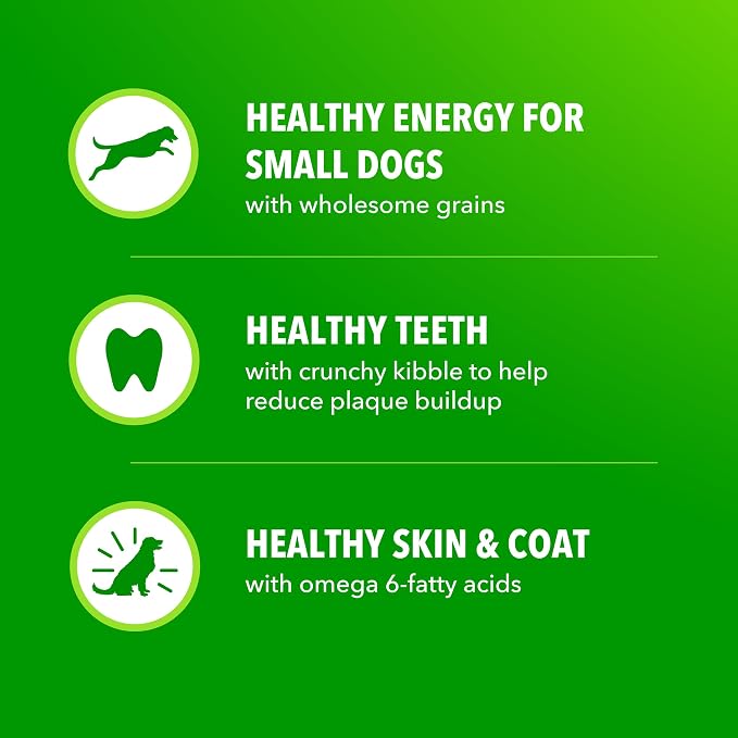 IAMS Proactive Health Small Breed Dry Dog Food, Chicken & Grain, 15 lb | Real Chicken #1 Ingredient, Small Kibble for Small Mouths, Natural Fiber & Prebiotics, No Fillers or Artificial Flavors