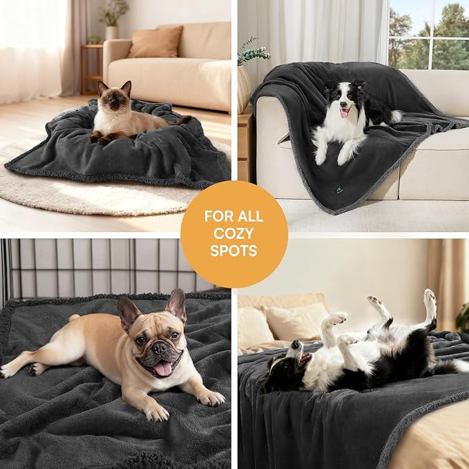 Luciphia Waterproof Pet Blanket, Liquid Pee Proof Dog Blanket for Sofa Bed Couch, Reversible Sherpa Fleece Furniture Protector Cover for Small Medium Large Dogs Cats, Black X-Large（85" x 57"） | waterproof pet blanket sherpa fleece reversible couch cove...