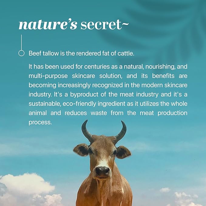 Forge Skin® Tighten & Lift Balm for Women [TALLOW-BASED] - Beef Tallow & Honey Extract Face Moisturizer - Natural Cream - Hydrating Facial Lotion - Anti Aging Skincare with Essential Oils (1.7 OZ)