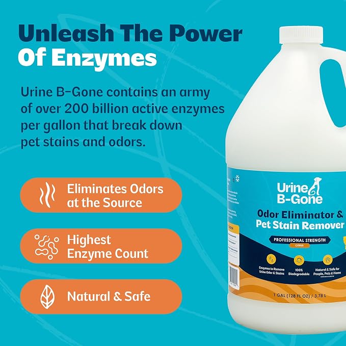 Urine B-Gone Enzyme Cleaner for Human, Cat & Dog Urine, Citrus, 1 Gallon | Enzyme cleaner for human, cat and dog urine on laundry, carpets and more; citrus scent, 1-gallon size.
