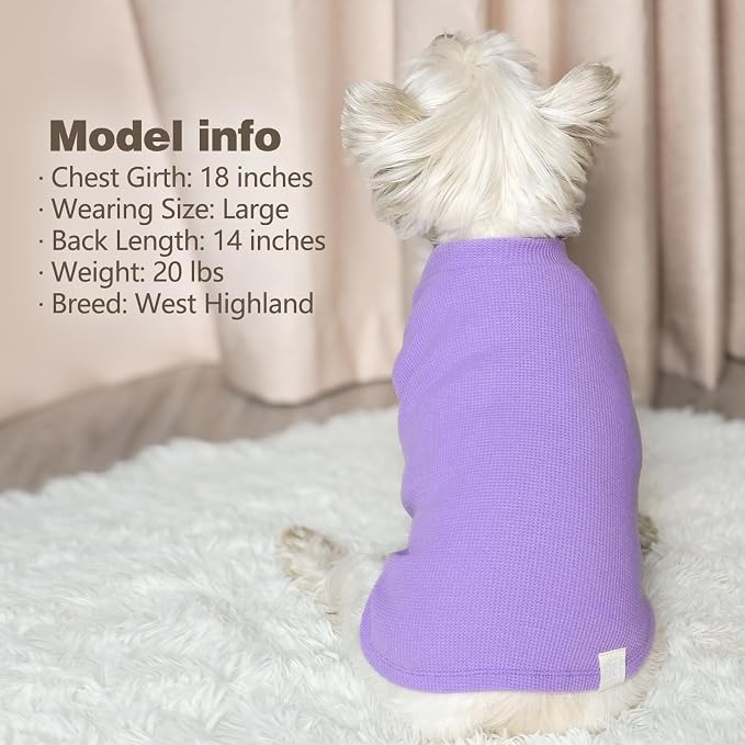 KYEESE 2Pack Dog Shirts Waffle for Small Dogs Stretchy Dog T-Shirts Lightweight Dogs Tank Top Sleeveless Pet Vest Breathable, X-Large, Purple+Grey | Cozy Warmth, Lightweight & Breathable, Gentle on Sensitive Skin, Stretchy & Free to Move, Comfortable D...