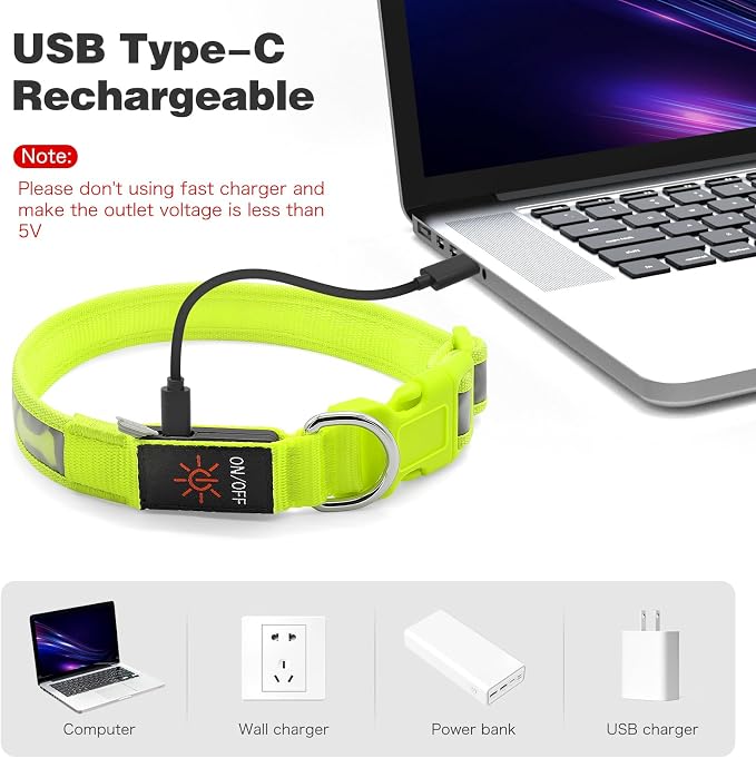 Flashseen LED Dog Collar Light Up USB-C Rechargeable (Green, Medium)