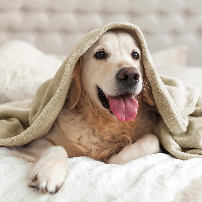 BEDELITE Fleece Blanket Soft Plush Queen Size Bed Blanket Linen 90"x90" | Ultra Soft Fleece, Plush Microfiber, Lightweight Warmth, All Season Comfort, Fade Resistant, Machine Washable,Perfect for Bed