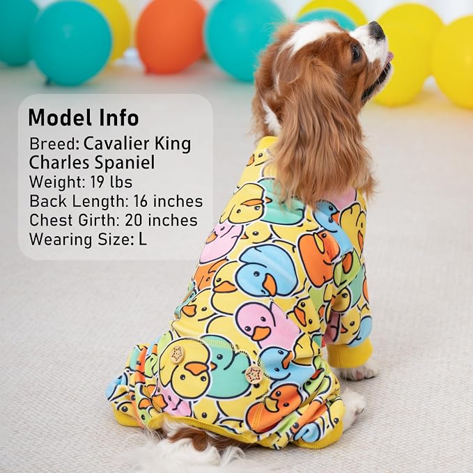 KYEESE Velvet Dog Pajamas for Small Dogs Soft Onesie Shirt, Colorful Duck | 4-Way Stretch, Lightweight & Breathable, Reduces Shedding, Gentle on Sensitive Skin, Recovery Support, Easy Potty Breaks