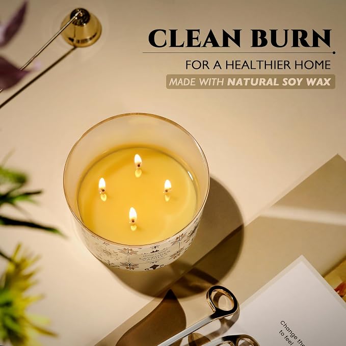 HomeLights Large jar Candle | 4-Wick Long-Lasting Scented Candles, 18oz Natural Soy Wax Candle for Home Scented, Bohemian Natural Textures Gifts for Women & Men, Lavender Vanilla