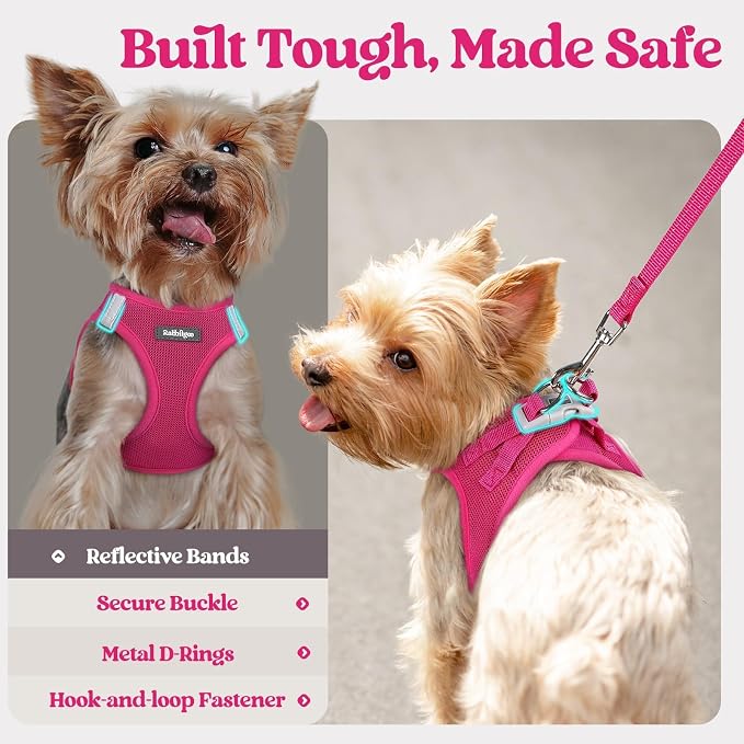 rabbitgoo Dog Harness Small Sized and Leash Set, Step-in Puppy Pet Vest | Light, Soft, Breathable Air Mesh, Easy on and Remove with Hook & Loop, Secure Reflective for Walking, Rose Red S
