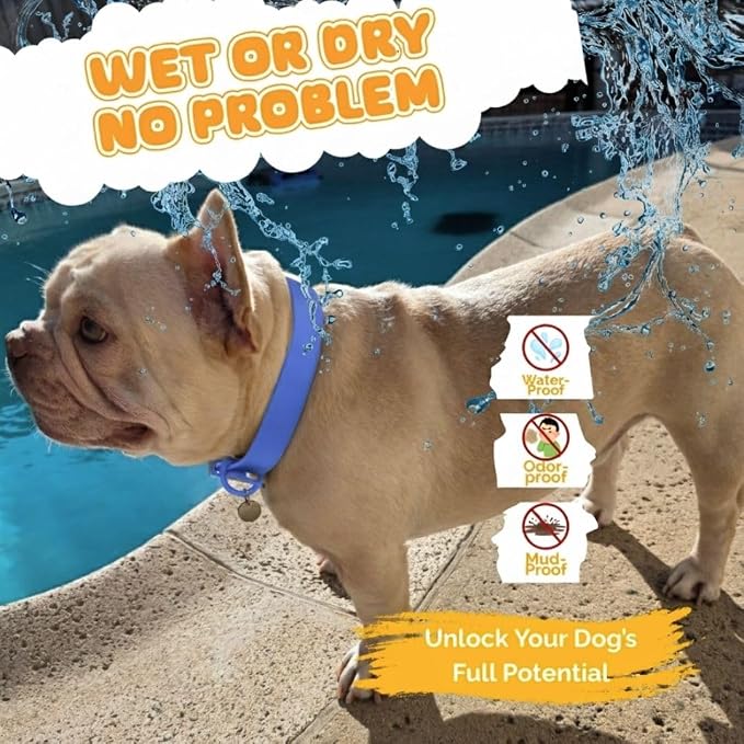 Waterproof Dog Collar, Soft Comfortable Pet Collars, Adjustable Odor Proof Heavy Duty Dog Collars Easy to Clean for Large, Medium Small Dogs by Bee N Buu (Cyan Blue, Small (length8-12, Width 3/4"))
