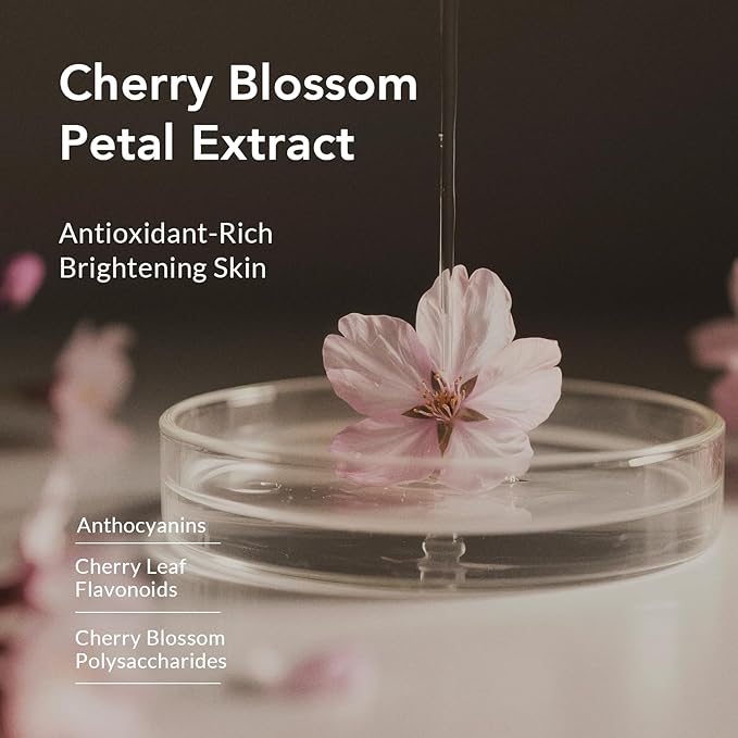 Kustie Cherry Blossom Travel Size Body Wash with Sakura Extract & Niacinamide - Hydrates & Softens Skin with Hyaluronic Acid - Antioxidant-Rich, Free From Parabens, Sulfates & Phthalates, 3.38 Fl Oz
