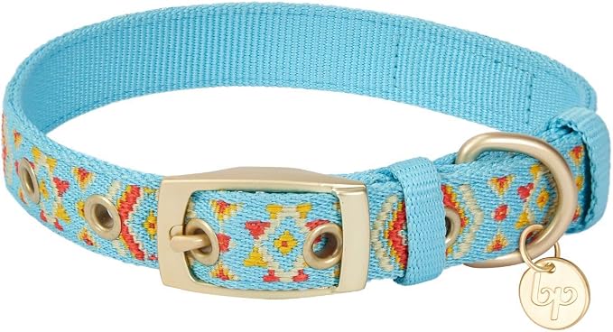 Blueberry Pet Southwestern Tribal Print Celeste Blue Adjustable Dog Collar with Metal Buckle, Neck 13-16.5", for Medium Breed