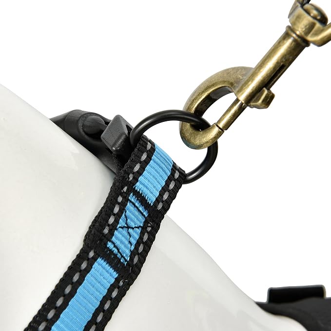 Mile High Life Reflective Dog Collar, Adjustable Lightweight Quick Release