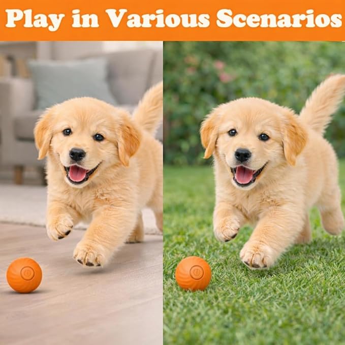 Interactive Dog & Cat Toy Ball, Automatic Moving Pet Toy for Small & Medium Dogs and Cats, USB-C Rechargeable Rolling Indoor Dog Toy for Boredom Relief