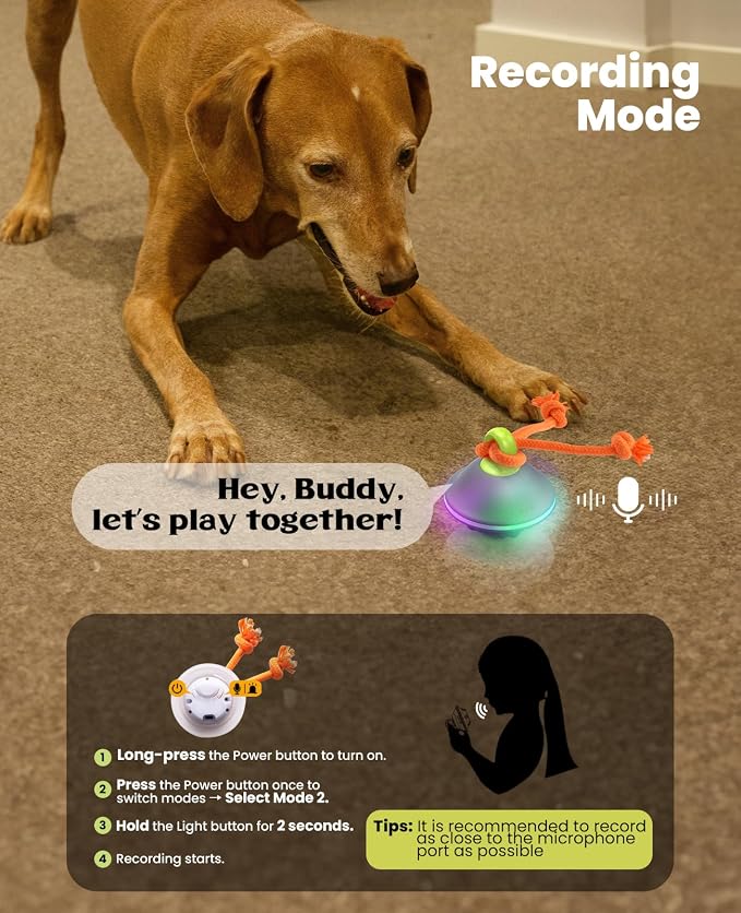 Xeuch Interactive Dog Ball with Rope, Motion Activated Moving Rolling Toy