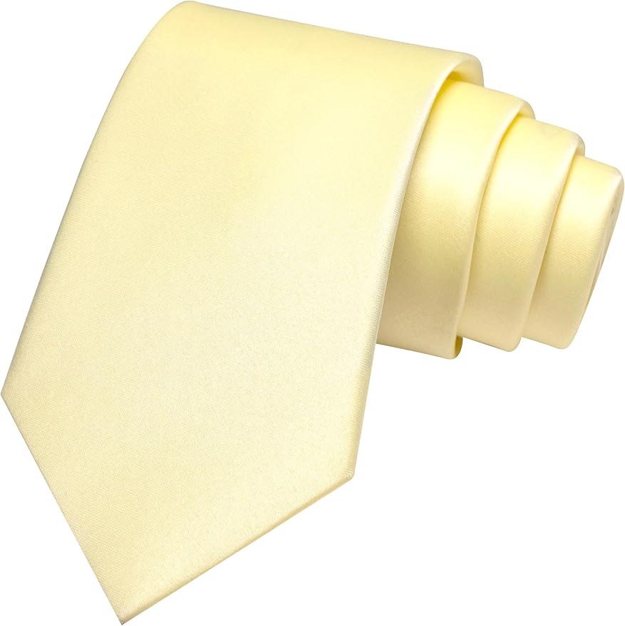 JEMYGINS Solid Color Tie Mens Necktie for Business and Wedding