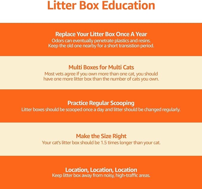 Amazon Basics Large Cat Litter Box with High Sides, Top Entry, Odor Control, Includes Scoop, 20.5 x 14.75 x 14.38 inches, Grey