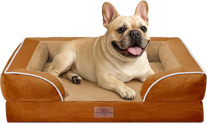 Comfort Expression Waterproof Orthopedic Dog Bed for Medium Size Dog | Supportive Egg Crate Foam Medium Pet Bed with Removable Bolsters, Dog Couch with Washable Cover & Non-Slip Bottom, 30x20 Inch