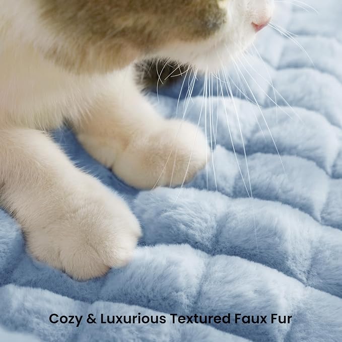 Cat Couch Bed with Fluffy Faux Rabbit Fur for Indoor Cats, 24 Inch | Cute Fuzzy Pet Sofa With Washable Cover For Puppy Kitten, Suppportive Cozy Pets Couch in 3D Diamond Pattern, Light Blue