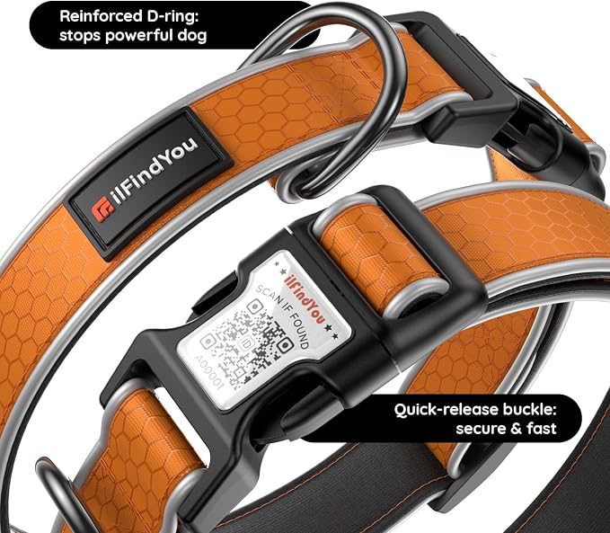 Personalized Dog Collar with QR Code Dog Tag, Oxford Orange M | Anti-lost, Oxford, reflective, padded, XS-L(8"-24"), QR buckle shares lost pet profile, location alerts when scanned, No Fees