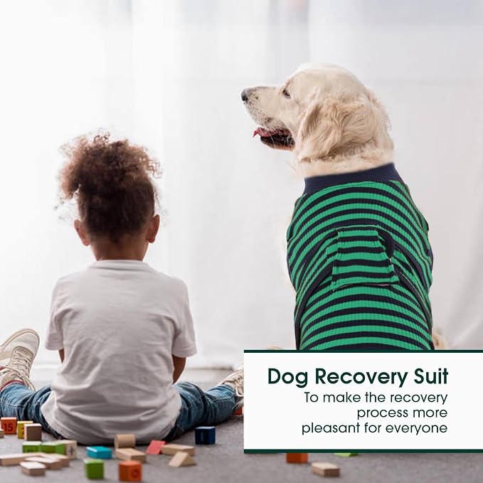 Kuoser Recovery Suit for Dogs Cats, Soft Dog Surgery Suit Female Male Spay | Professional Dog Onesie for Surgery, Substitute E-Collar & Cone, Prevent Licking Dog surgical suit Pet Neuter Suit