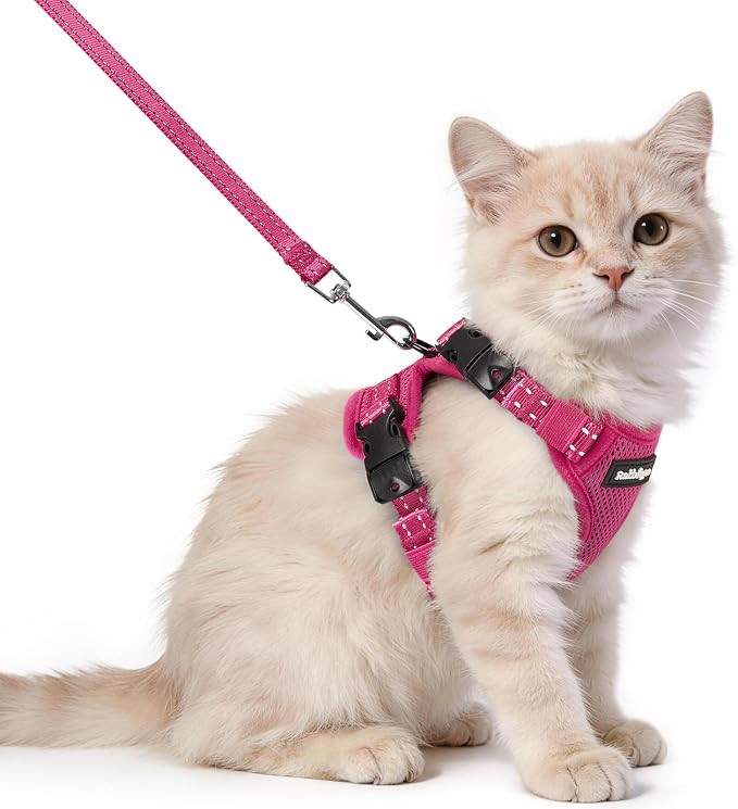 rabbitgoo Cat Harness and Leash Set, Easy-on with Neck Buckle, Rose Red