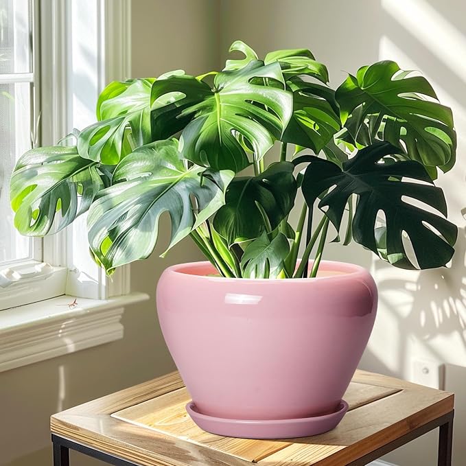 Ceramicfor 10 Inch Plant Pot - Ceramic Planter for Indoor Plants, Glaze Modern Round Planter with Drainage Hole and Saucer, Gifts for Plant Lovers, Office Patio Home Room Decor, Pink