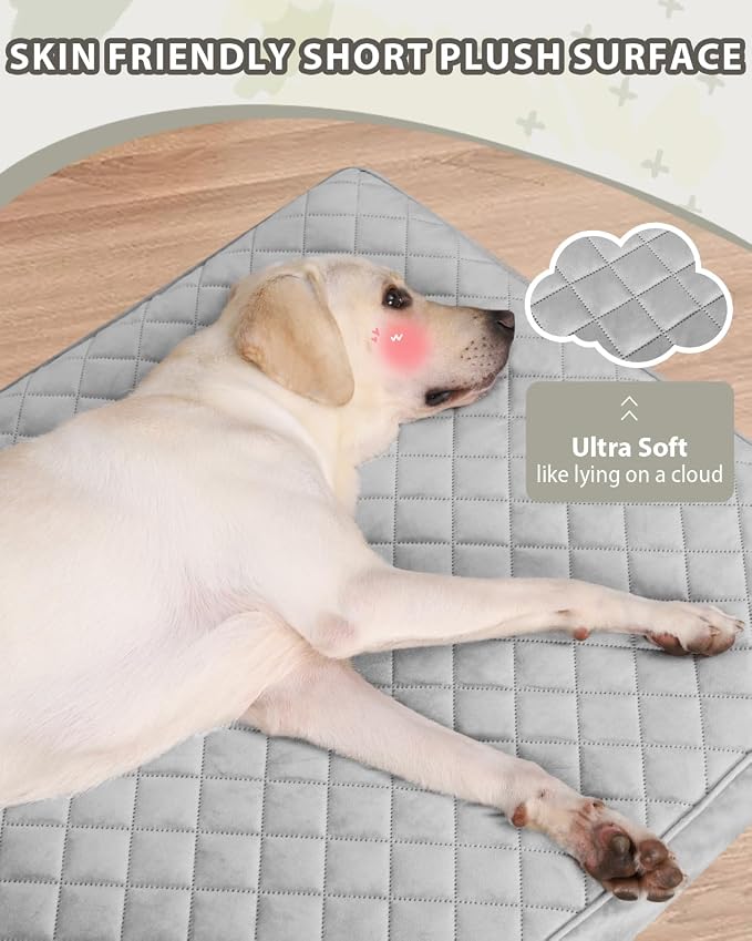 NUPIDA Orthopedic Small Dog Bed for Crate with Washable Cover, 23x17, Grey | Cat Puppy Kennel Pad, Egg-Crate Foam, Cozy Velvet Pet Mattress, TPU Waterproof Layer, Comfy Support, Non-Slip Bottom