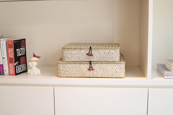 Whitewash Flat Seagrass Storage Bins with Lid, Wicker Basket for Shelf Organize, Set of 2 (Small+Large)