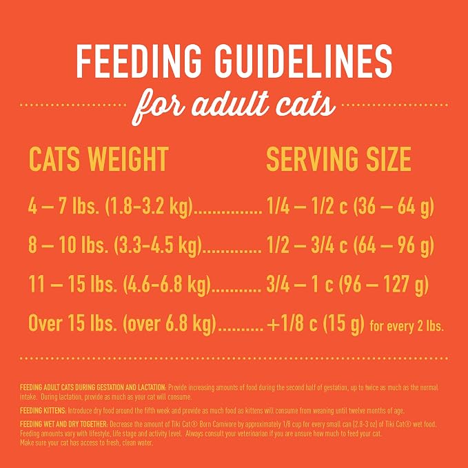 Tiki Cat Born Carnivore Indoor Health, Chicken & Turkey Meal, 12 lbs Bag | Formulated for Indoor Cats, Crunchy Kibble Texture, Real Animal Protein, Non-GMO Ingredients, Minimally Processed
