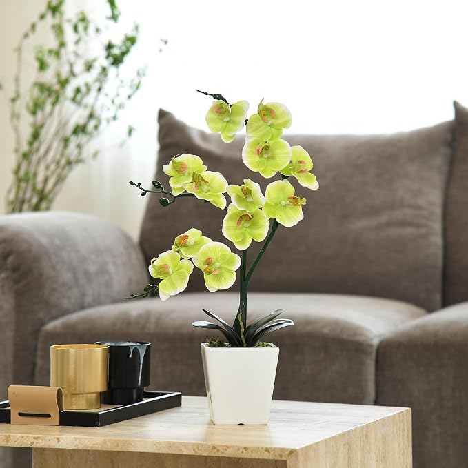 15" Silk Phalaenopsis Orchid in Square Pot, Apple Green Flower Arrangements | Lifelike Faux Potted Blooms with Moss in a Ceramic Planter. Looks Real, Zero Upkeep, Ideal Centerpiece for Any Table