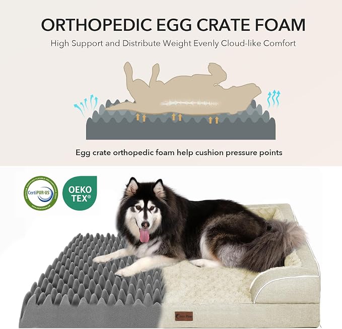 Orthopedic Washable Dog Bed for Extra Large Dogs, 48x30in, Beige | Orthopedic Foam Eases Joint Pressure, Bolsters Supports Head And Neck, Washable Pet Beds, Removable Cover, Non-Slip Bottom