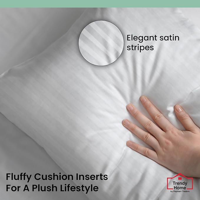 Trendy Home 22x22 Throw Pillow Insert (Set of 2, White) Bed and Couch Pillows Stuffer Hypoallergenic, Decorative Home Indoor Outdoor Sofa Pillow Filler (Machine Wash, 2 Pack)