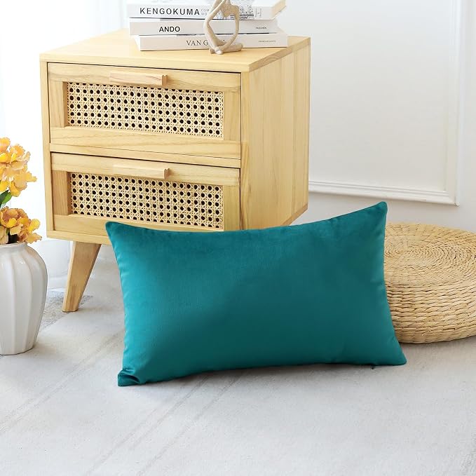 Artscope Luxury Velvet Pillow Covers Decorative Rectangle Pillowcases Soft Solid Cushion Cases for Couch Sofa Bedroom Car Decor 16x24 Inch Teal