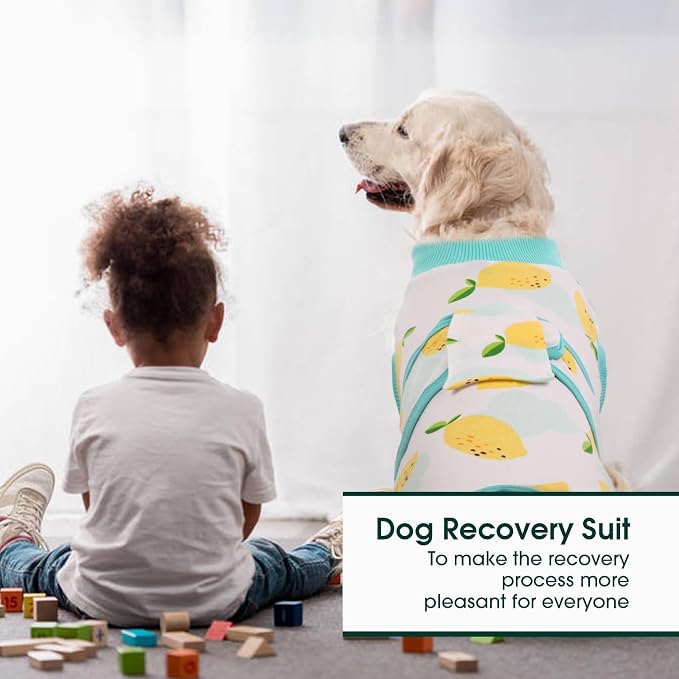 Kuoser Recovery Suit for Dogs Cats, Soft Dog Surgery Suit Female Male Spay | Professional Dog Onesie for Surgery, Substitute E-Collar & Cone, Prevent Licking Dog surgical suit Pet Neuter Suit