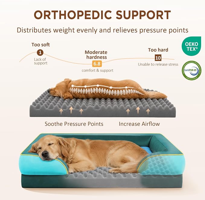 Comfort Expression Orthopedic Dog Beds for Large Sized Dog with Bolster | Waterproof Dog Couch Bed with Washable Cover & Non-Slip Bottom, Supportive Egg Crate Foam Large Pet Bed, 36x27 Inch