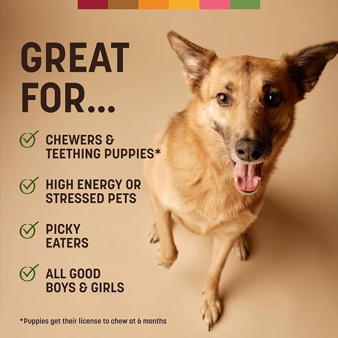 Earth Animal No Hide Dog Chews - Rawhide Free Medium Rolls 6 Count Pork | Medium Pork Flavored Natural Rawhide Free Long Lasting Dog Chews - Treats for Medium Dogs and Aggressive Chewers