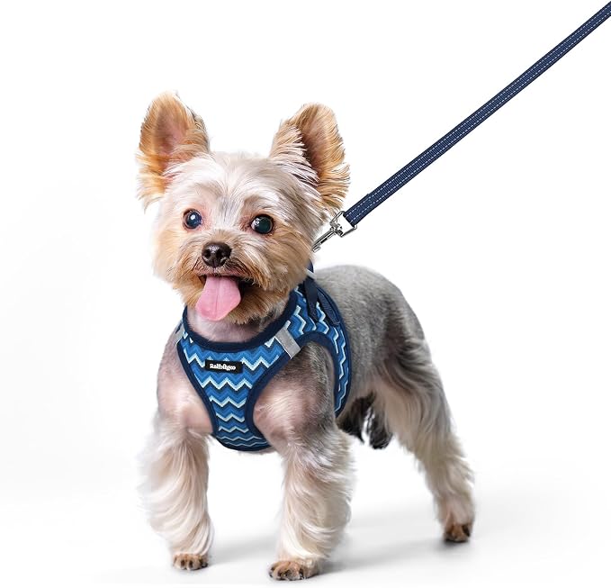rabbitgoo Dog Harness Small Sized and Leash Set, Step-in Puppy Pet Vest | Light, Soft, Breathable Air Mesh, Easy on and Remove with Hook & Loop, Secure Reflective for Walking, Blue Zigzag XS