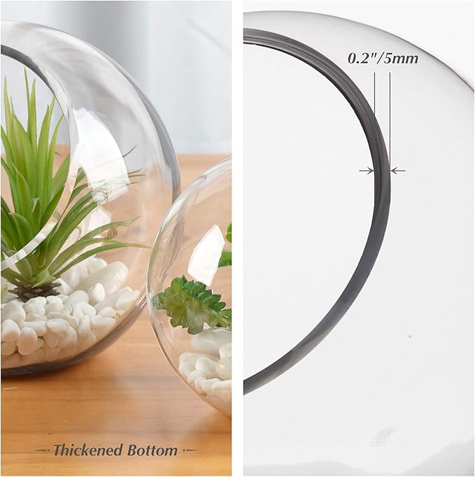 WGV Slant Cut Bowl Glass Vase, Width 5.5", Height 5.5", Clear Round Globe Planter Terrarium Orb, Candy Dish, Fruit Jar, Floral Container for Home Office Decor, 1 Piece