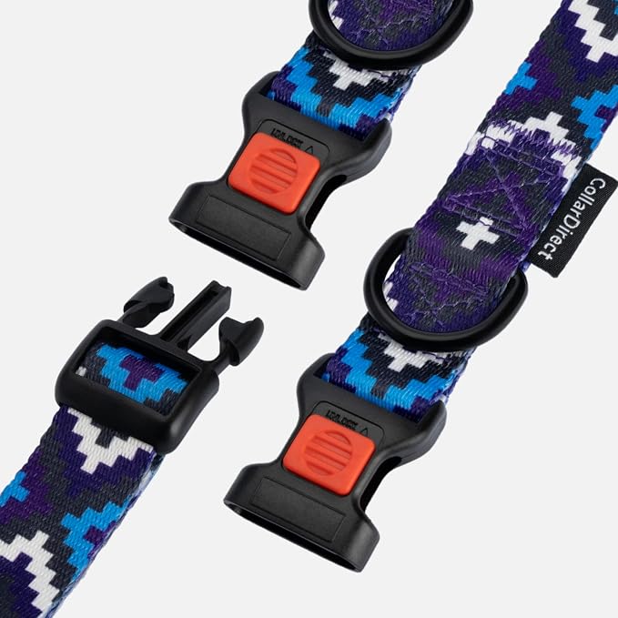 CollarDirect Aztec Dog Collar Adjustable Nylon Tribal Pattern Geometric Pet Collars for Dogs Small Medium Large Puppy (Ethnic Teal, Neck Fit 12"-16"